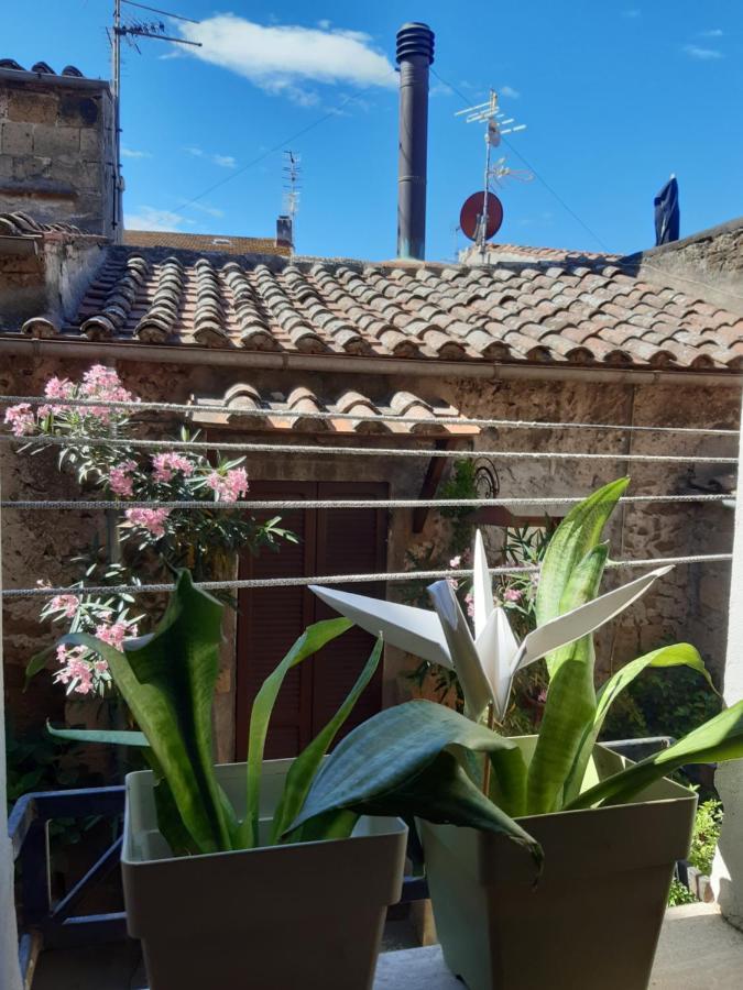Casa Il Girasole Pitigliano Διαμέρισμα Εξωτερικό φωτογραφία