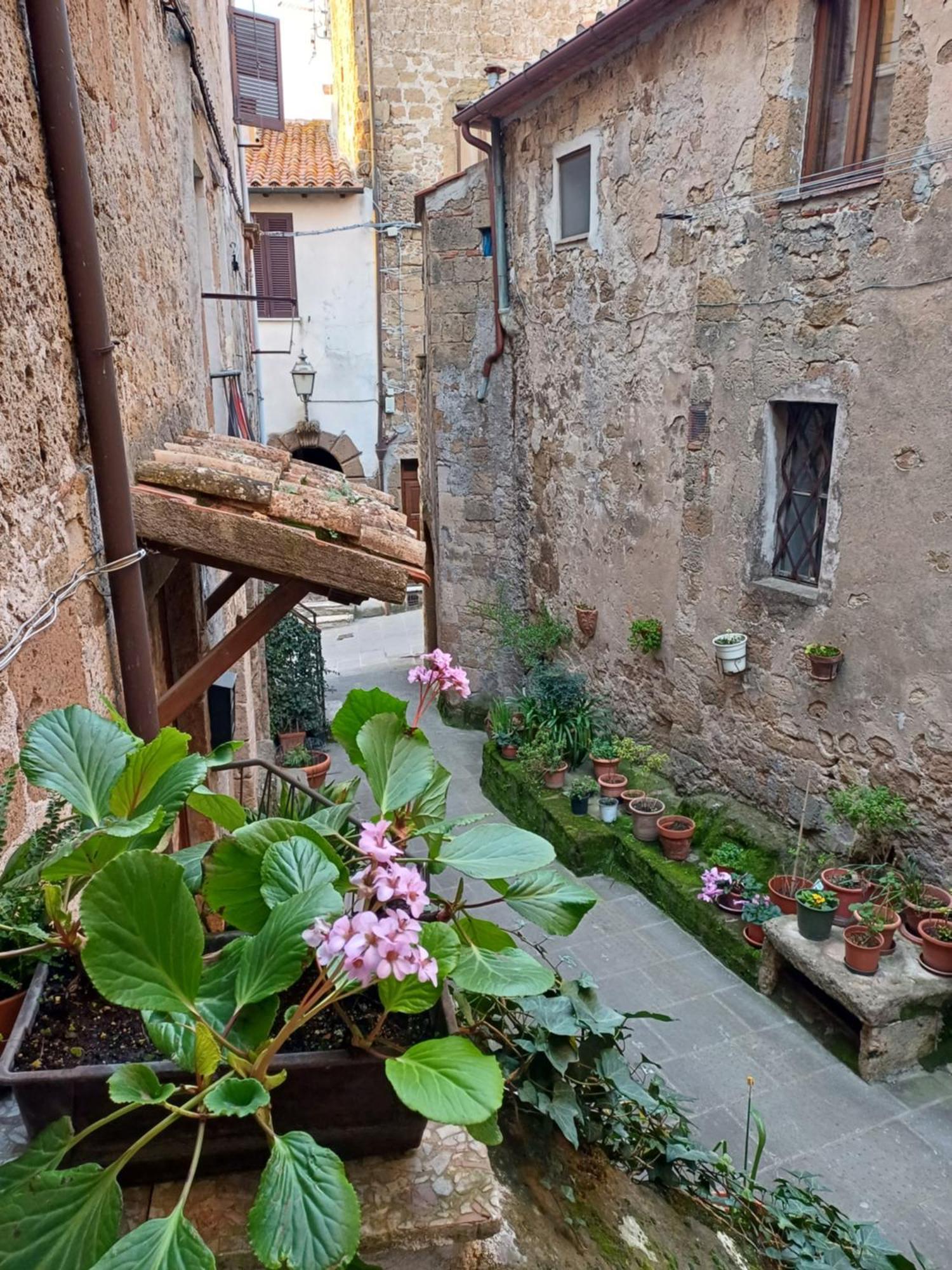 Casa Il Girasole Pitigliano Διαμέρισμα Εξωτερικό φωτογραφία